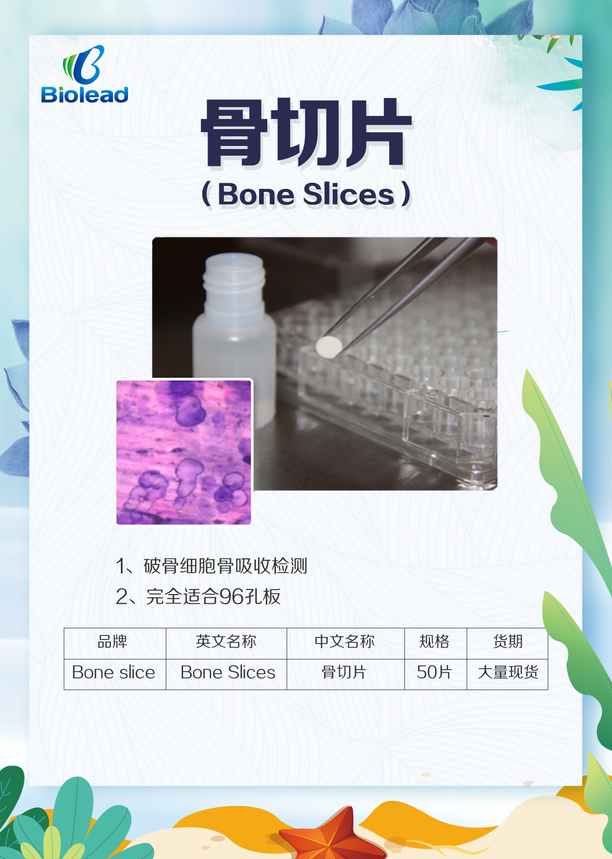 Bone slice (骨吸收实验)骨切片操作流程